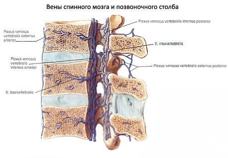 csípőízület nyújtási fájdalom bal oldali fájó ízületek