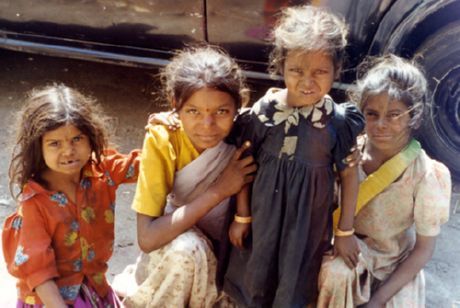 India az állatbetegségek terjedésének vezetője