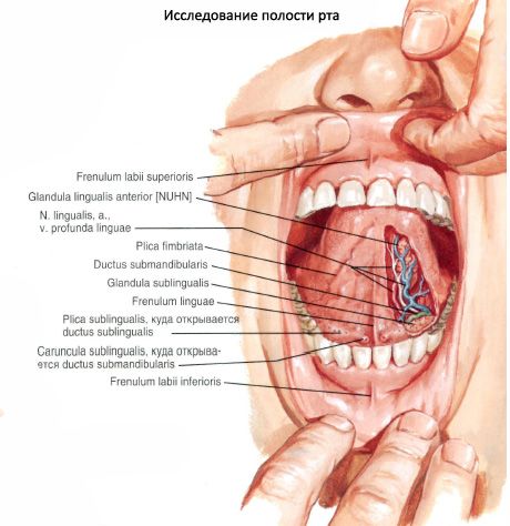 submandibularis nyálmirigy A prosztata antibiotikum- kezelés gyulladása