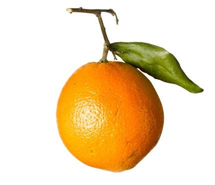 Top-10 termék sugárzó és egészséges bőrre