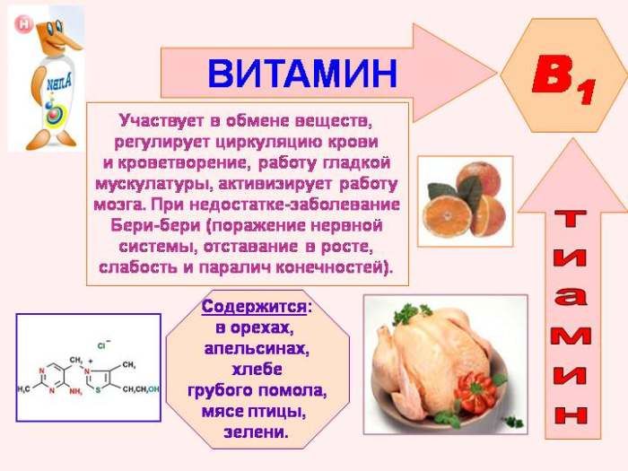 A B1-vitamin tulajdonságai