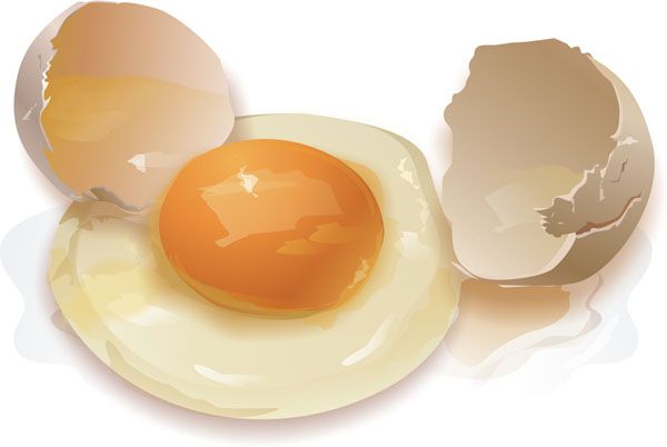 a tojás étrendjének hatása